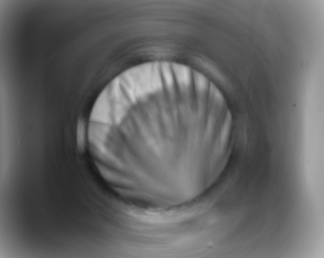 X0000088190022200705292021