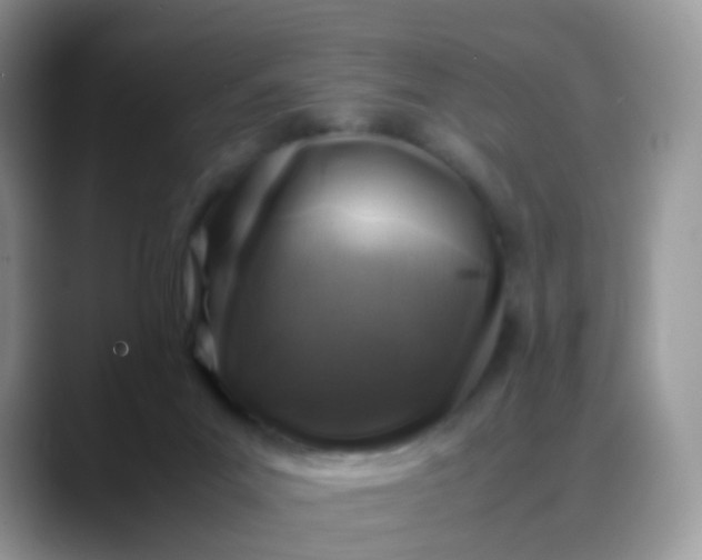 X0000088190023200705292021