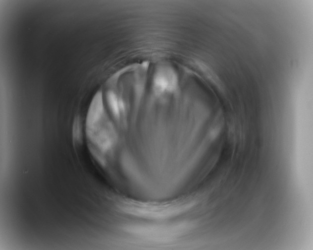 X0000088190026200705292021