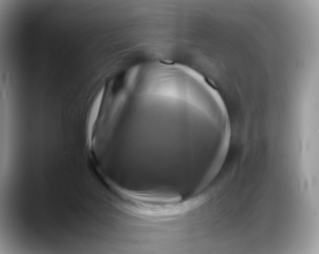X0000088190027200705292021