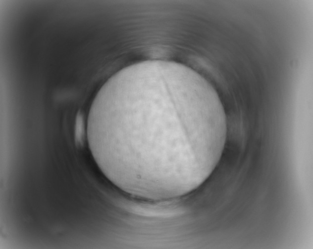 X0000088190028200705292021