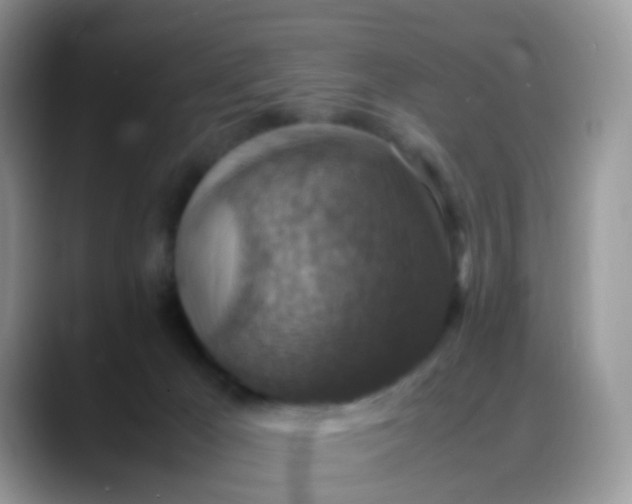 X0000088190029200705292021