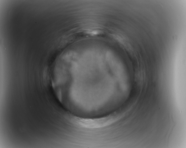 X0000088190030200705292021