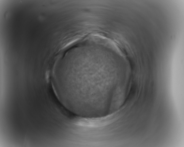 X0000088190033200705292021
