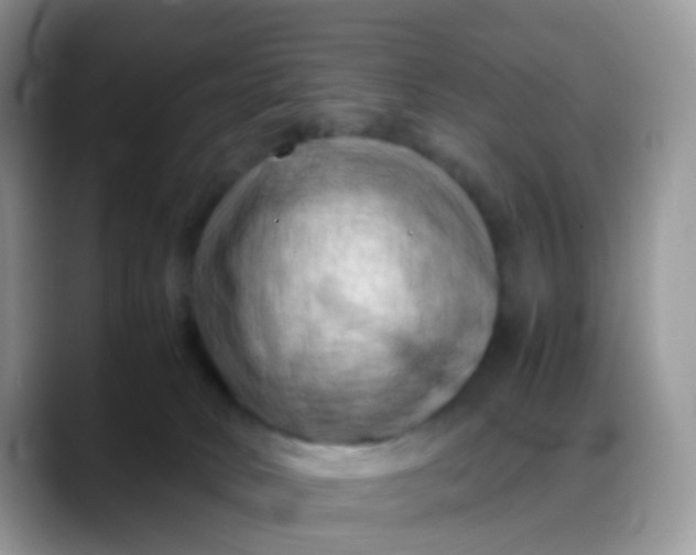 X0000088190034200705292021