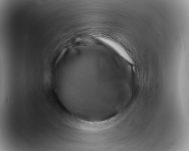 X0000088190035200705292021