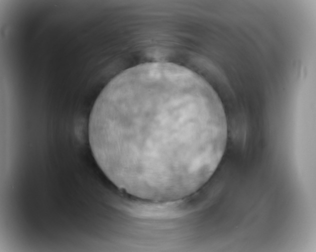 X0000088190036200705292021