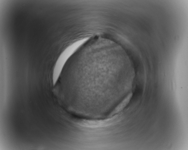 X0000088190037200705292021