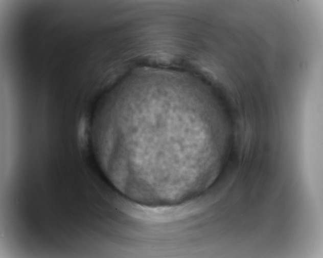 X0000088190038200705292021