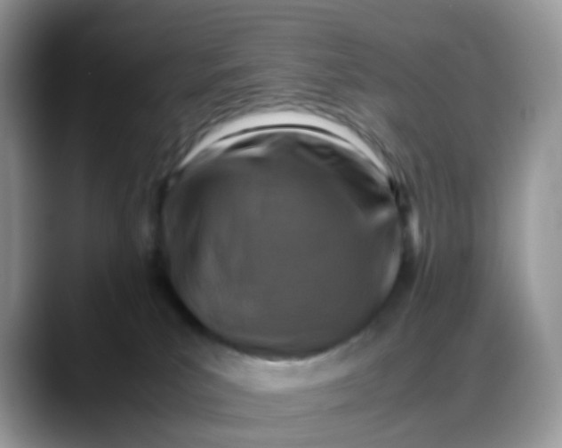 X0000088190039200705292021