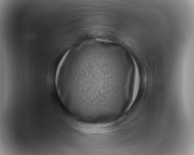 X0000088190040200705292021