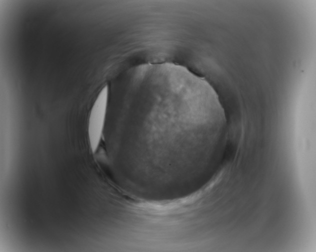 X0000088190041200705292021