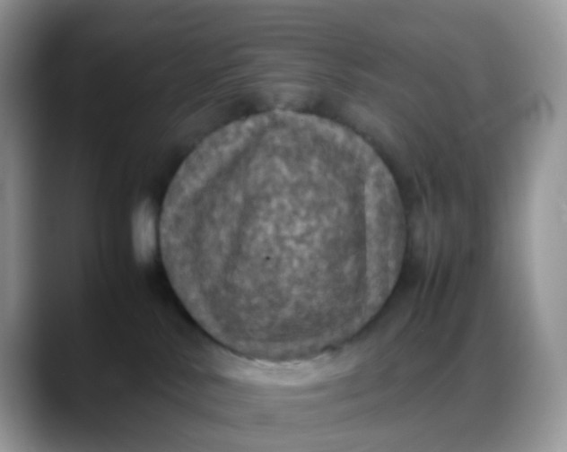X0000088190042200705292021