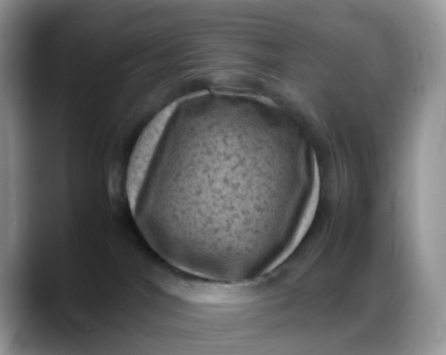 X0000088190044200705292021