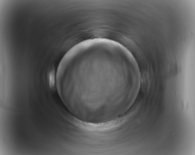 X0000088190046200705292021