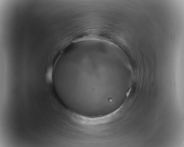 X0000088190047200705292021