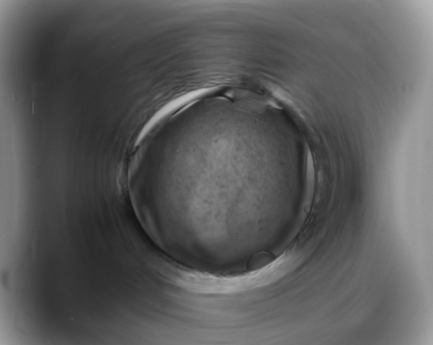X0000088190048200705292021