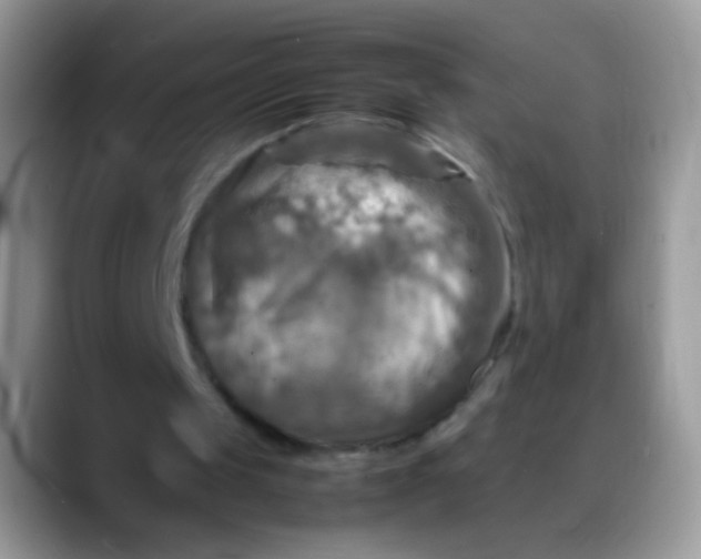 X0000088190049200705292020
