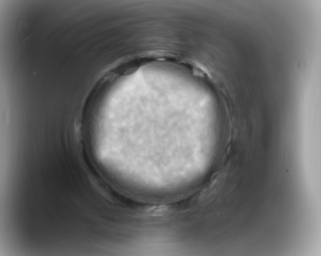 X0000088190050200705292020