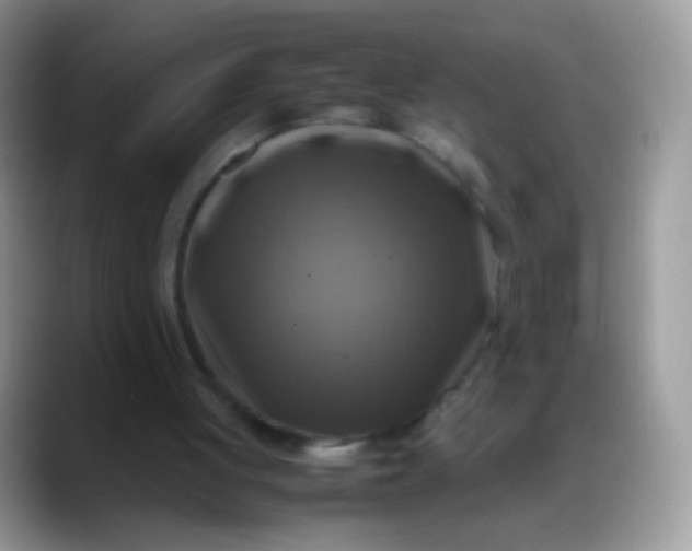X0000088190051200705292020