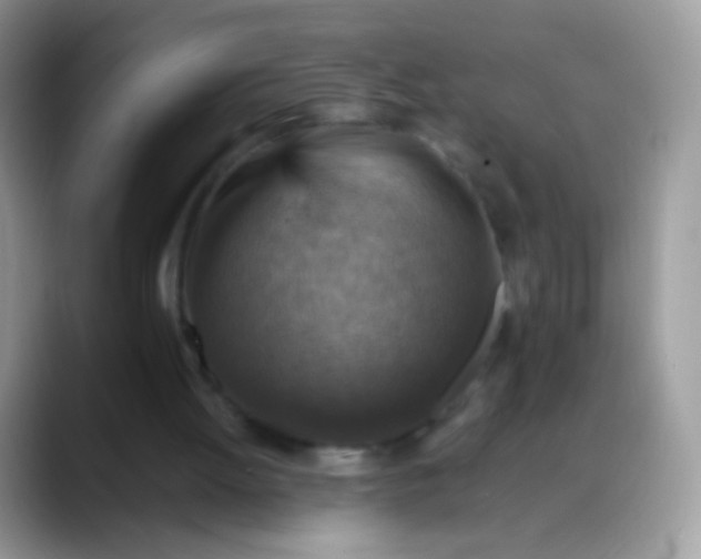 X0000088190052200705292020