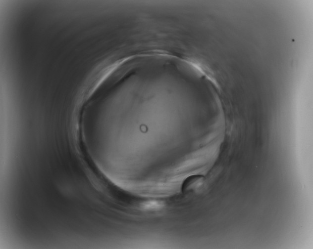 X0000088190053200705292020