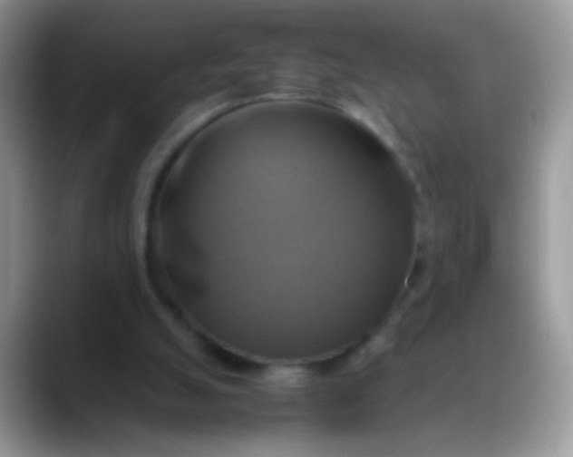X0000088190055200705292020