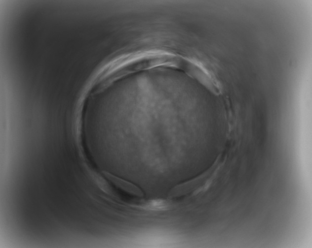 X0000088190056200705292020