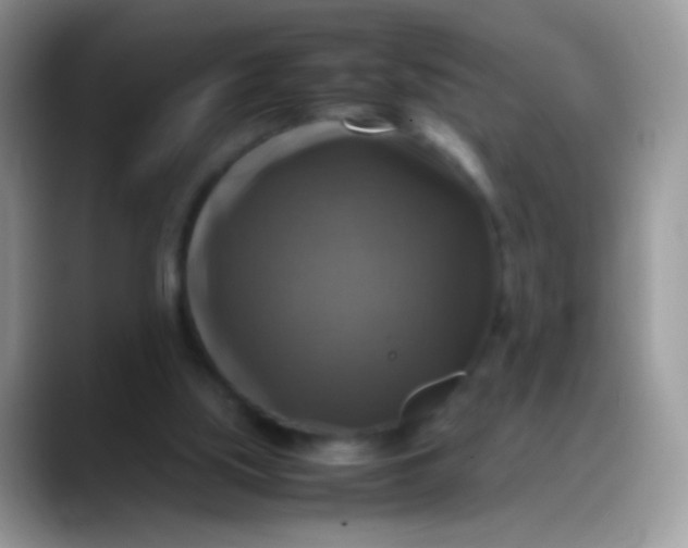 X0000088190059200705292020