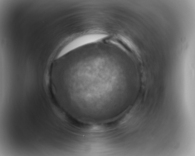 X0000088190060200705292020