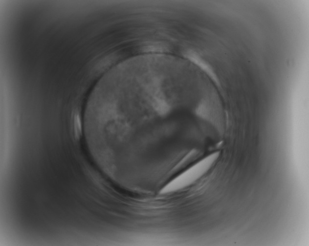 X0000088190061200705292020