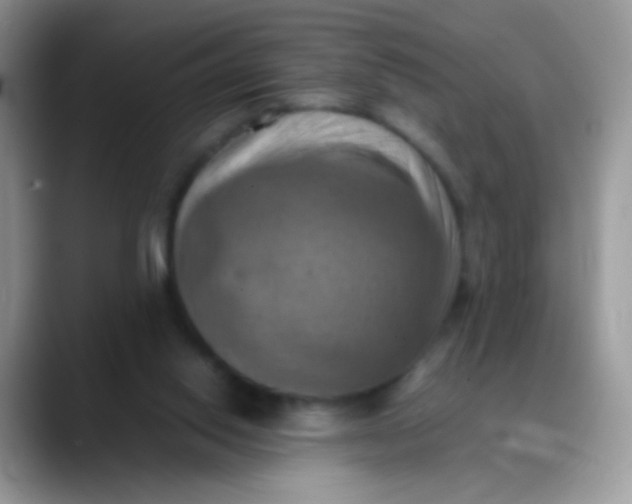 X0000088190062200705292020