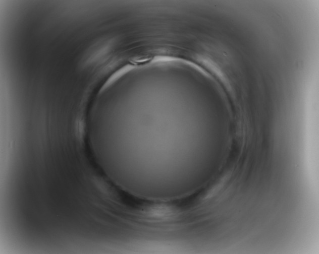 X0000088190063200705292020