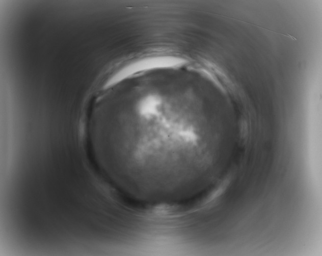 X0000088190064200705292020