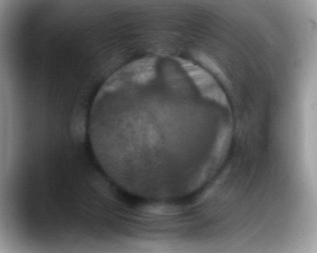 X0000088190065200705292020