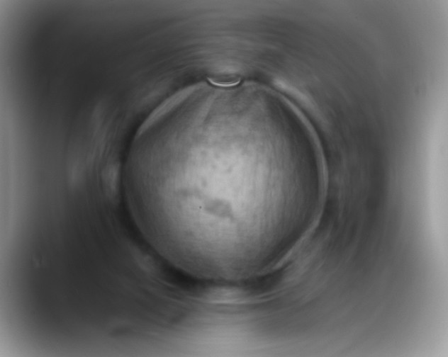 X0000088190066200705292020
