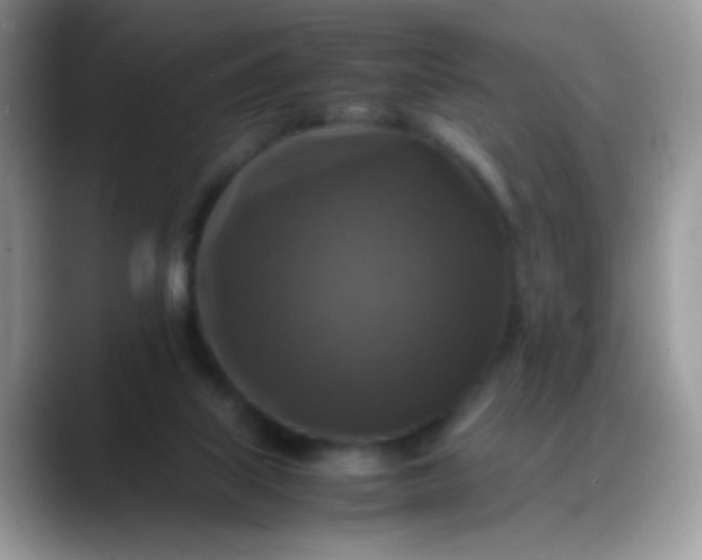 X0000088190067200705292020