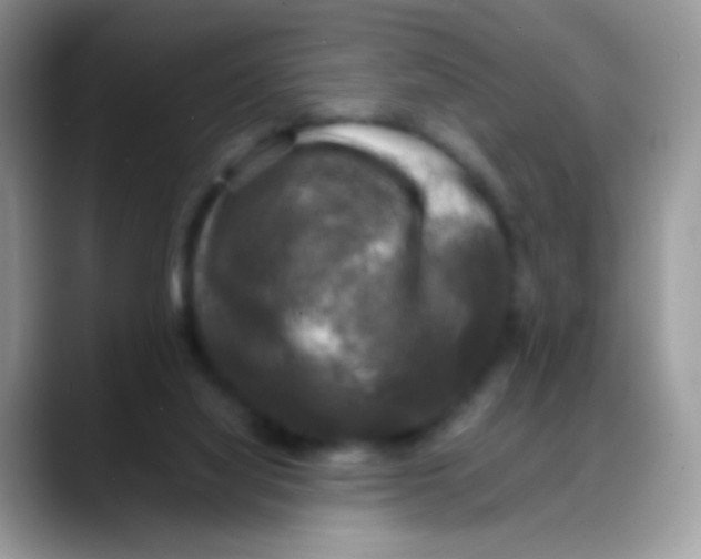 X0000088190068200705292020