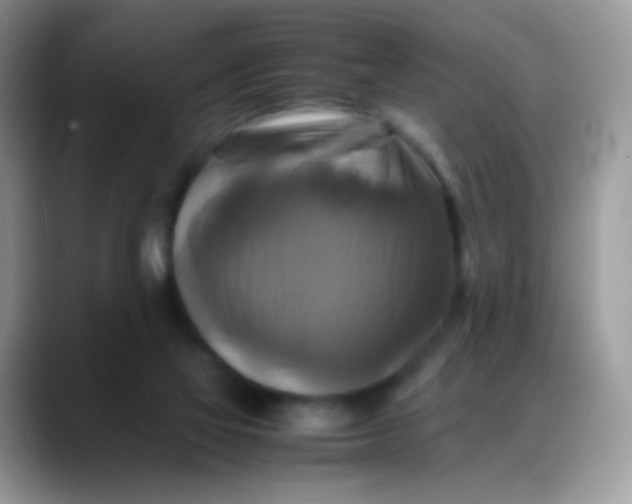 X0000088190069200705292020