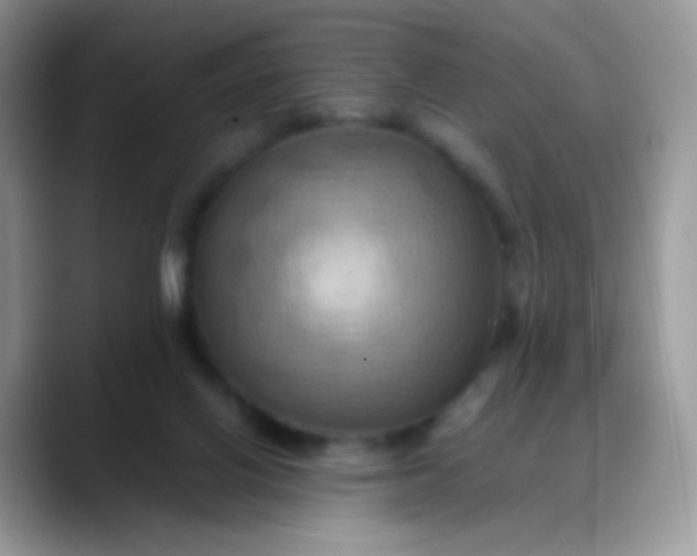 X0000088190070200705292020