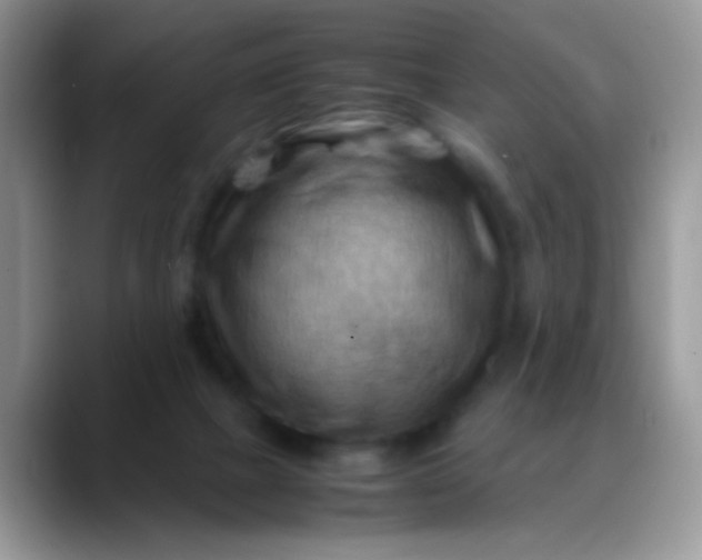 X0000088190073200705292020