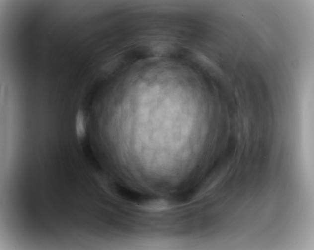 X0000088190075200705292020