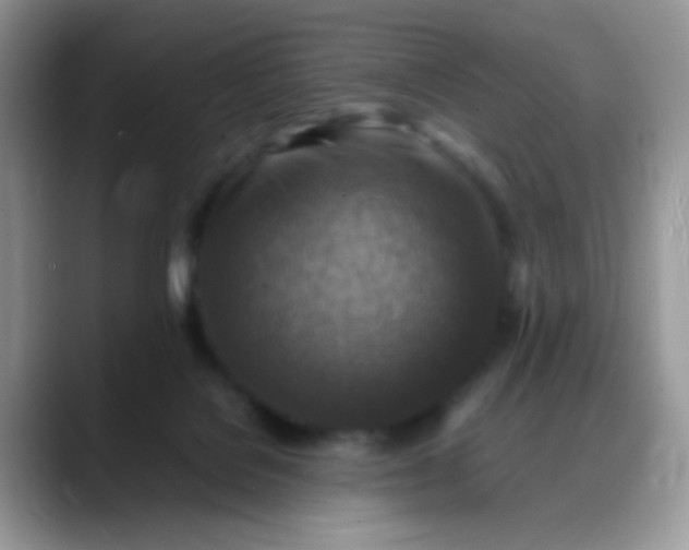 X0000088190076200705292020
