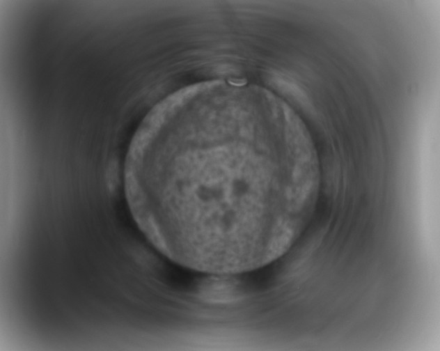 X0000088190077200705292021