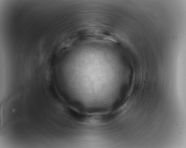 X0000088190078200705292021