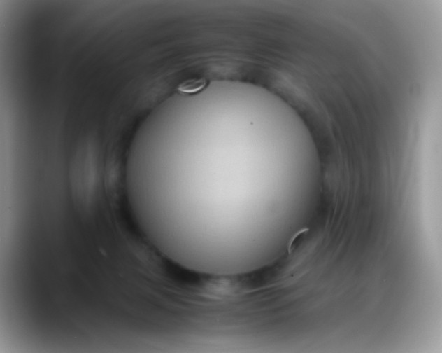 X0000088190079200705292021