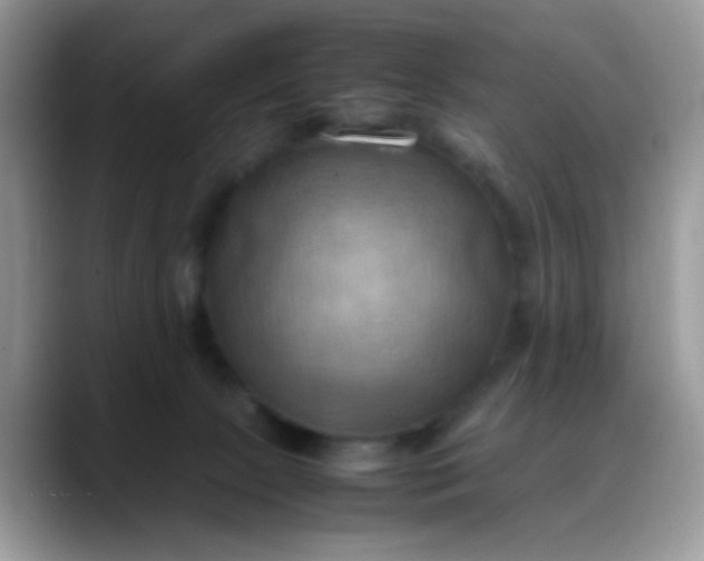 X0000088190081200705292021