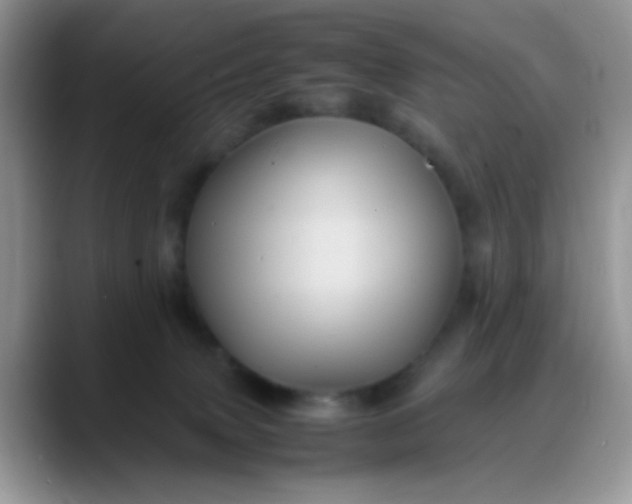 X0000088190083200705292021