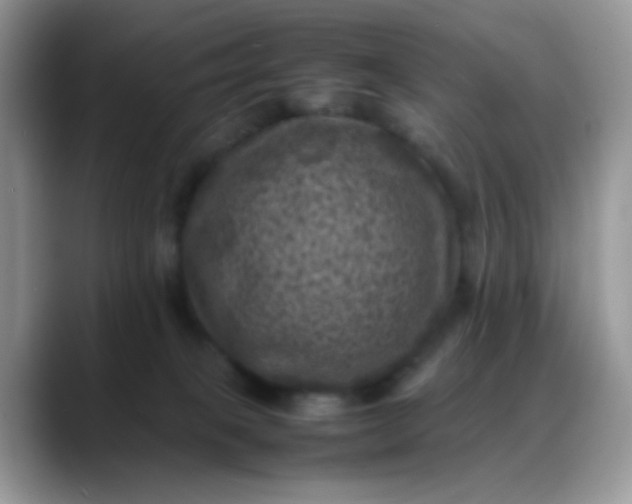 X0000088190085200705292021