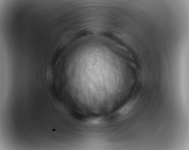 X0000088190086200705292021
